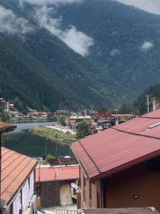 Naturlandskabet i nærheden af lejlighedshotellet