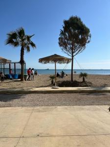 a beach with two palm trees and the ocean at Lot 1 in Pristina