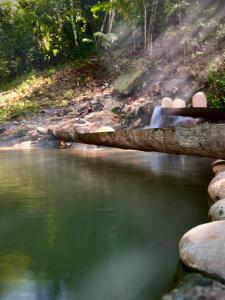 a log laying on the side of a river at hot springs jungle in Shintuya +21 photos