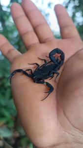 Gallery image of Shintuyahotsprings in Santa Rosa