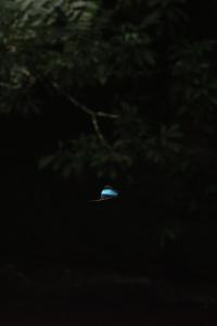 Gallery image of Shintuyahotsprings in Santa Rosa