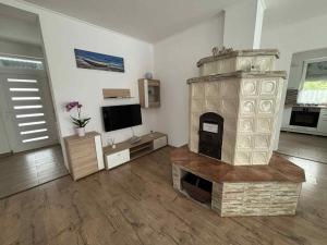 a living room with a fireplace and a television at Tó Apartman in Hegykő