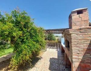 a view of the garden from the house at Villa chaima in Essaouira
