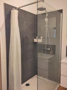 a shower with a shower curtain in a bathroom at Les Trois-Escabelles in Dinant