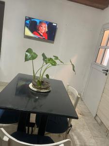 a black table with a plant and a tv on the wall at Antonia in San Nicolás de los Arroyos
