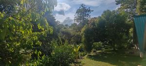 a view of a garden with trees in the background at Casa Perezosa in Parrita