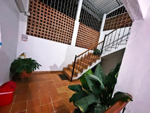 a hallway with stairs and potted plants in a building at Hotel C Villa Plaza in San Gil