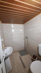 a bathroom with a toilet and a sink and a shower at Cabana Lir in Arad