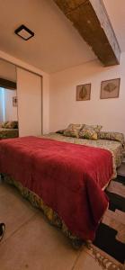 a bedroom with a bed with a red blanket at DG Rosa María in Santiago del Estero