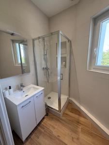 une salle de bain avec douche et lavabo dans l'établissement Le 37 FOCH, à Orange