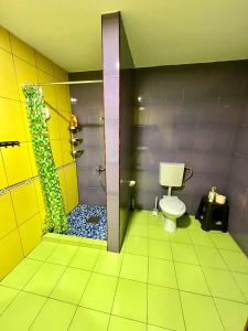 a bathroom with a shower with a toilet in it at Garden Inn in Onești