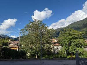a view of a city with mountains and trees at Casa Ronch in Strembo