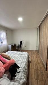 Fotografie z fotogalerie ubytování Habitación privada con cama matrimonial, baño y salida al jardín v destinaci Colonia Las Rosas