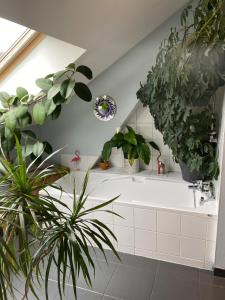 Billede fra billedgalleriet på La Gentiane bleue, vue lac Saint Point i Malbuisson