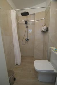 a bathroom with a toilet and a shower with a shower curtain at Nikis Hοuse in Elia Laconias +25 photos