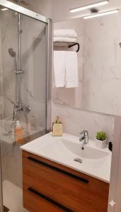 a bathroom with a sink and a shower at Apartamento la Marquesa in Córdoba