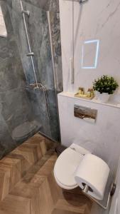 a bathroom with a toilet and a shower at City Park Home in Budapest