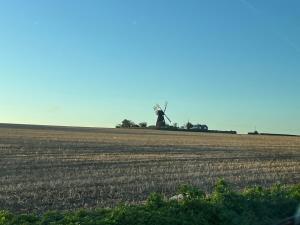 a large field with a windmill in the background at The A in Walmer +2 photos