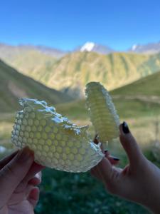 a person holding a peeled banana in their hands at Panorama Ardoti in Ardoti