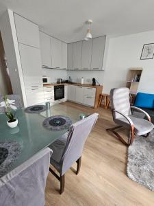 Η κουζίνα ή μικρή κουζίνα στο Grey Apartment