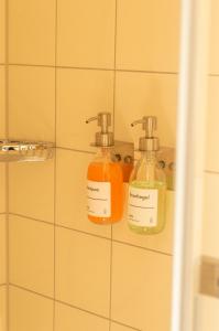two bottles of soap on a shelf in a bathroom at Den Eikenboom in Loenen