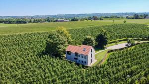 an aerial view of a house in the middle of a vineyard at Le Clos du Verger in Aubel