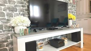 Et tv og/eller underholdning på Dream Rental Pirot Apartman