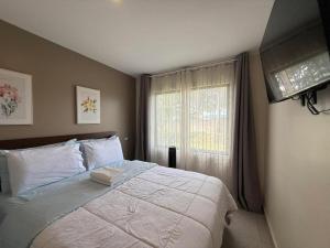 a bedroom with a large bed and a window at Tropical Sunshine in Alajuela +31 photos