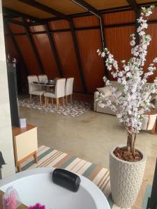 a remote control sitting on a table with a tree at Chale cabana 1 linda vista na serra da Serra da Cantareira in Caieiras +43 photos