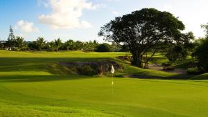 a green golf course with a tree and a putting green at CoralStone Escape near beach and airport with private garden in Christ Church