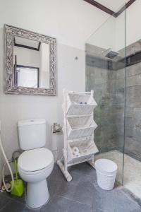 een badkamer met een toilet en een douche met een spiegel bij Villa Marjens 2 Seminyak area Bali in Kerobokan