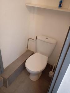 ein kleines Bad mit einem WC und einer Treppe in der Unterkunft Studio rénové proche métro in Lille