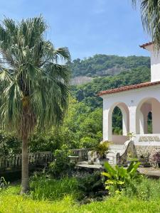 a palm tree in front of a building at Casa Rocha in Rio de Janeiro