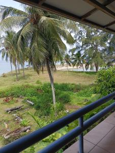 ポートディクソンにあるseaview beach homestay pdのバルコニーからヤシの木の景色を望めます。