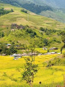 a small village in a field of yellow flowers at Terrace House Tả Van in Sa Pa