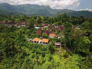 an aerial view of a village in the forest at Sidemen padi villas in Silebeng