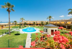 - Vistas a un complejo con piscina y palmeras en Apartamento Tortuga Laúd, en Tarifa