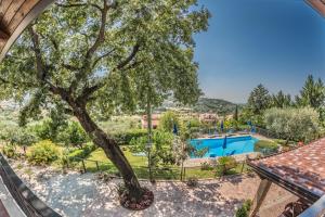 Bazén v ubytování B&B La Mortella nebo v jeho okolí