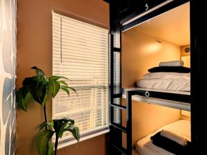 a room with bunk beds and a window with a plant at Bishop Hostel in Dallas