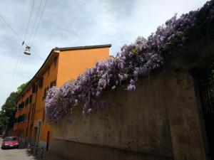 ボローニャにあるMalgrado House Bolognaの紫色の花の壁