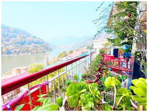 a balcony with plants and a view of a river at Hotel Lake Naini View - Restaurant &Free Wifi Available - Luxury Collection of Hotels with Spacious Room - Best Lake View Hotel In Nainital in Nainital