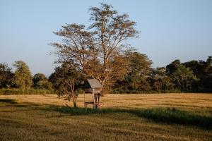 a bird house in a field with a tree at Roys Villa Sigiriya in Sigiriya +6 photos