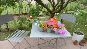 Galeriebild der Unterkunft Les Chambres de La Maxe in La Maxe