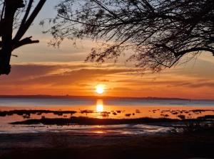 un tramonto su uno specchio d'acqua con il sole che tramonta di Appartement calme proche plage a Lanton Altre 4 foto