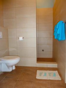 a bathroom with a toilet and a shower at Apartments Tamaris in Trogir