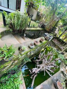 un jardín con macetas y un estanque en Feel Haven Ella, en Ella