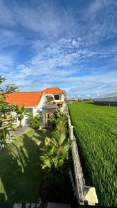a house in the middle of a green field at Vila Billy II in Munggu
