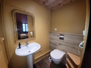 a bathroom with a sink and a toilet and a mirror at Maison d'hôtes Coeurdacier in Monthureux-sur-Saône +45 photos
