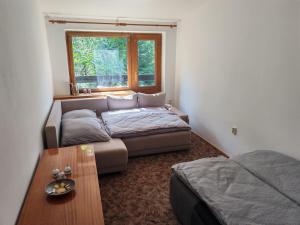 een woonkamer met een bed en een raam bij Chata Limbach in Limbach +54 foto's