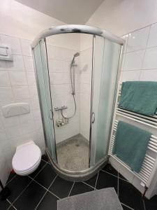 サントにあるEntire house city center reserved parkingのバスルーム(シャワーブース、トイレ付)